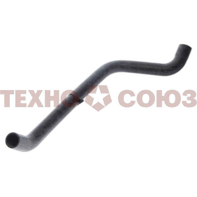 229810-001.jpg