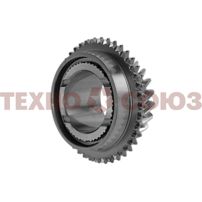 231084-001.jpg