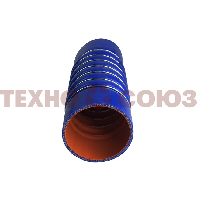 272235-001.jpg