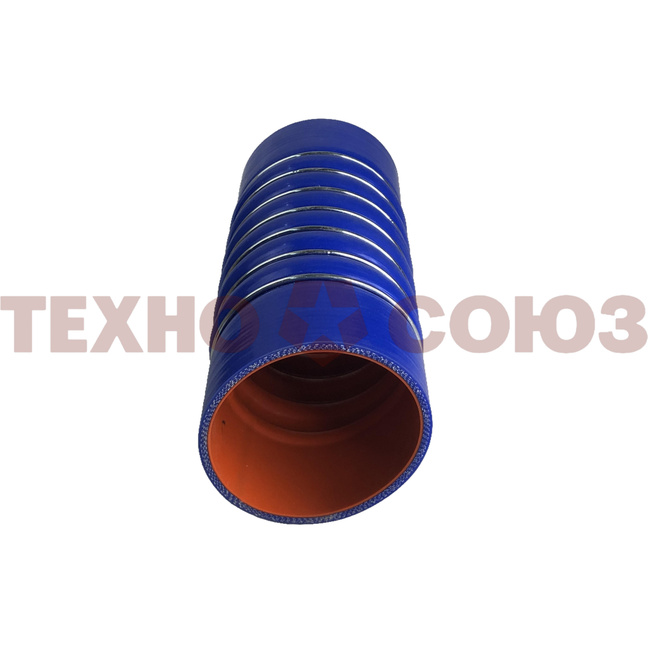 272235-001.jpg